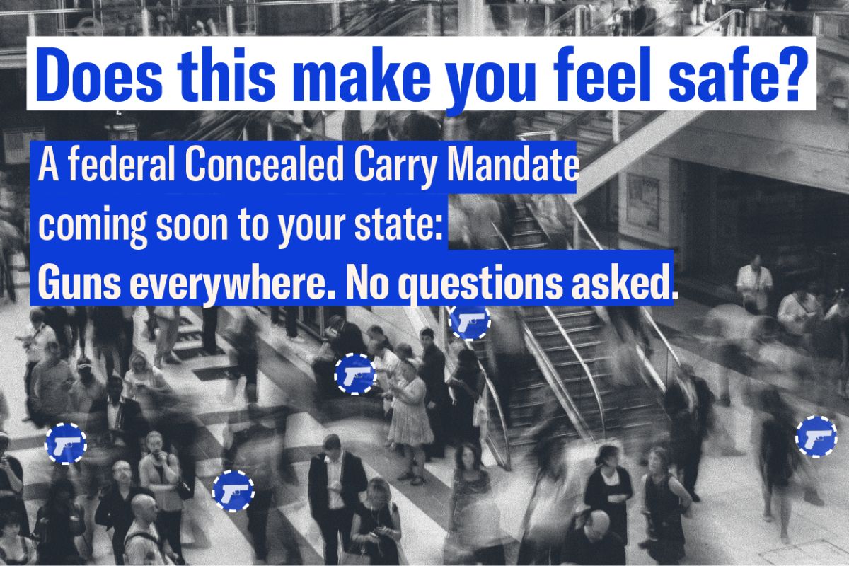 A graphic of people standing in a crowded train station. Small blue gun graphics overlay on individual people in the crowd, to indicate where they could have hidden, loaded weapons. Blue text reads "Does this make you feel safe? A federal Concealed Carry Mandate coming soon to your state: Guns everywhere. No questions asked."